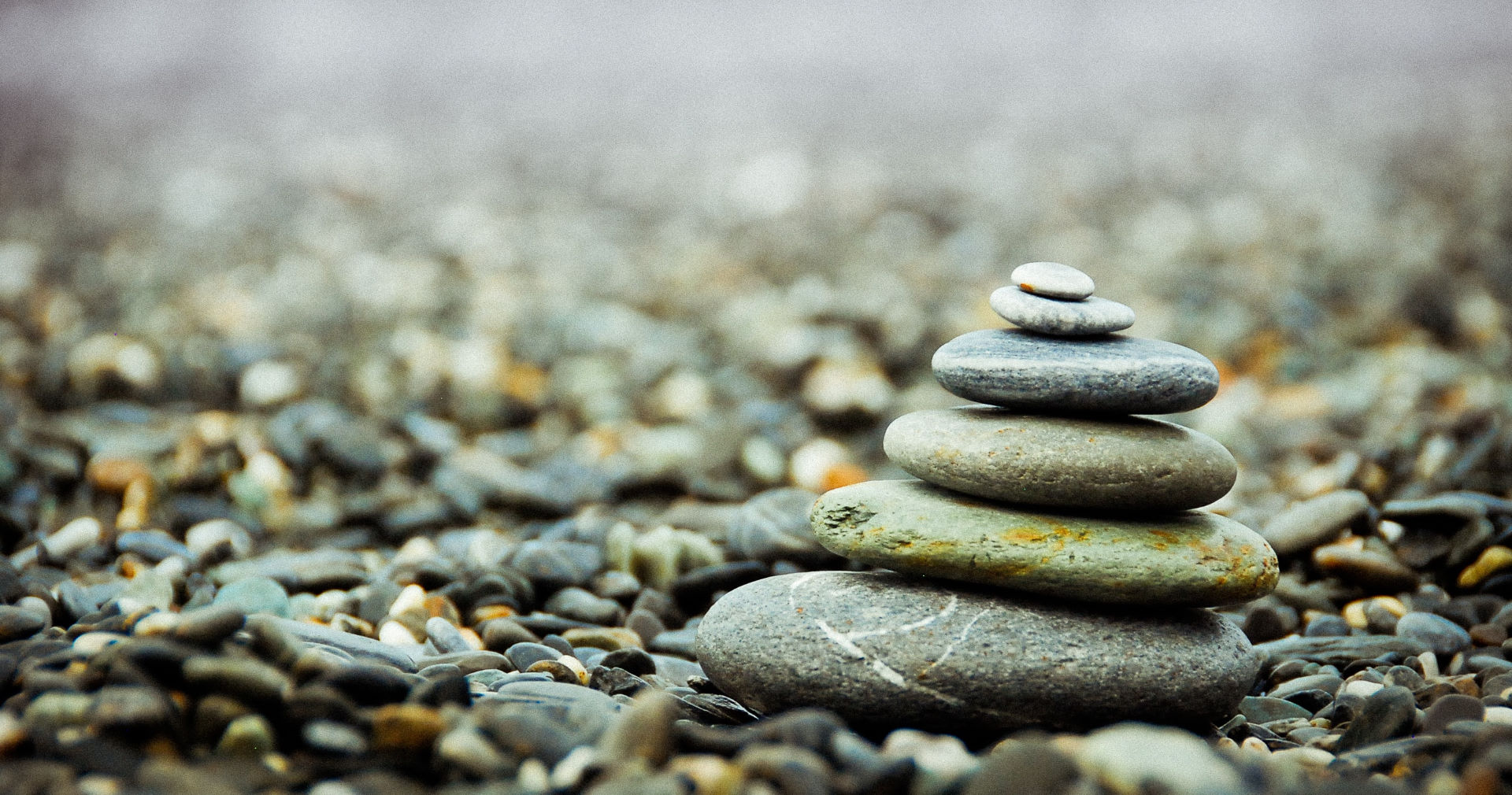 Equilibrium